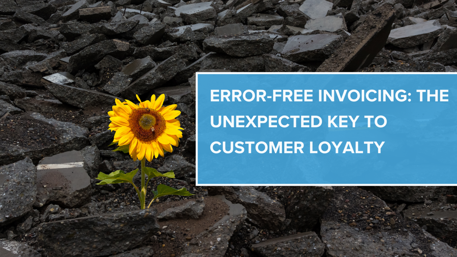 Error-Free Invoicing: The Unexpected Key to Customer Loyalty – Emersion